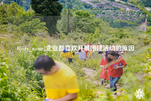 西藏企业都喜欢开展团建活动的原因